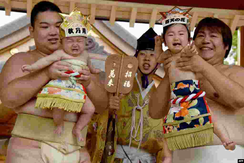 Para pegulat Sumo menggendong bayi-bayi yang menangis di depan para juri dalam lomba &quot;Baby-cry Sumo&quot; di Kanagawa, Jepang.