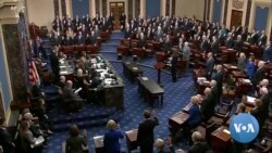 US Senate Begins Trump Impeachment Trial