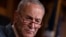 Shugaban marasa rinjayi a majalisar dattawa Chuck Schumer