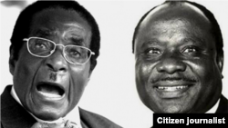 President Robert Mugabe and Enos Nkala