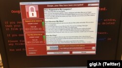 صفحه نمایش یک کامپیوتر مشکوک به حمله سایبری رنسام ور