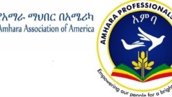 በዩናይትድ ስቴትስ የሚገኙ ሁለት የአማራ ተወላጆች ማኅበራት በሰሞንኛው ጉዳይ