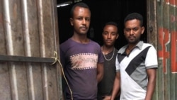 Dargaggoo Meeshaalee Dhibamtoota Koronaa Ittiin Gargaaran Lama Hojjete