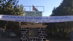 ኤርትራ-ብምኽንያት ዓለምለኸ ቅነ ጸረ-ባክተርያ ጎስጓስ ተኻይዱ