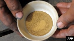 រូបឯកសារ៖ រូបថត​ដែល​ត្រូវ​បាន​ថត​កាល​ពី​ថ្ងៃ​ទី១៣ ខែមករា ឆ្នាំ២០១១ នេះ បង្ហាញ​ពី​បុរស​ខ្មែរ​ម្នាក់​បង្ហាញ​រ៉ែ​មាស បន្ទាប់​ពី​ត្រូវ​បាន​ចម្រាញ់​​រួច​ហើយ នៅ​ក្នុង​​ខេត្ត​មណ្ឌលគិរី។