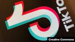 抖音国际版TikTok标识