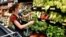 FILE - Crystal Dvorak shops at WinCo Foods, May, 7, 2021, in Billings, Mont. Dvorak was getting ingredients to make soup with potatoes and onions she got from a food bank after recently losing her job as an audiologist. 