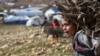 FILE - An Iraqi Yazidi girl carries wood in a conflict area in northern Iraq. The United Nations Children's Fund says one in four shool-aged children in conflict areas is not in school.