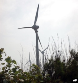 绿色能源和绿色植被