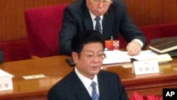 全国人大常委会副委员长王兆国