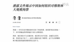 观察人士看抖音/TikTok内容审查及安全性