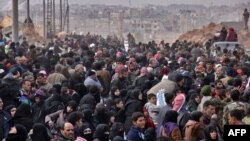 叙利亚的难民家庭从阿勒颇各个地区逃离出来(2016年11月29日)