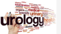 የኩላሊት ጠጠር እንዴት ይፈጠራል? ክፍል አንድ