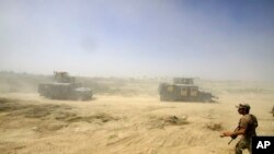 팔루자로 진격하는 이라크 정부군