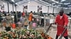 Workers push cart loaded with discarded fresh roses at a flower exporter's farm in Naivasha, 19 Apr 2010