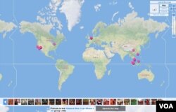 Chinese New Year is celebrated all over the world. VOA has been collecting pictures and stories on Flickr. Click to visit the Flickr map and explore global Lunar New Year traditions