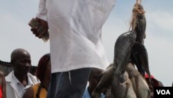 水产拍卖市场的渔民说，由于鱼类资源的消耗，在维多利亚湖打渔为生越来越困难了。