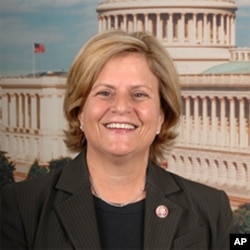 美国会众议院外交委员会主席、共和党众议员罗斯-雷提南