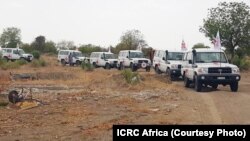 Magari ya Msalaba Mwekundu yawasafirisha wasichana wa Chibok waloachiwa huru