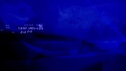 Sapa Dunia VOA : Kasus COVID-19 Melonjak Lagi di AS