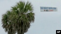 Las autoridades de salud informaron la semana pasada que tres lotes de insectos dieron positivo a zika.