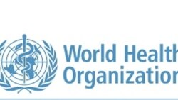 ካብ ቤት ጽሕፈት ዓለማዊ  ውድብ ጥዕና ኣብ ኣፍሪቃ ዝመጸት ጉጅለ ኣብ ኤርትራ ናይ ስራሕ ምብጻሕ ኣካይዳ