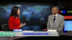 媒体观察：川普将派谁出任驻华大使？