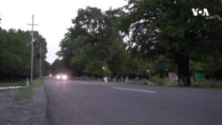 Təbiətsevərlər heyvanları istismar edən restoranları boykot edir