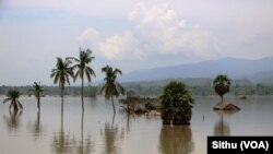 미얀마에서 홍수로 집들이 물에 잠긴 모습