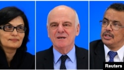 ሕጹያት ንዳይሬክተር ውዱብ ጥዕና ዓለም