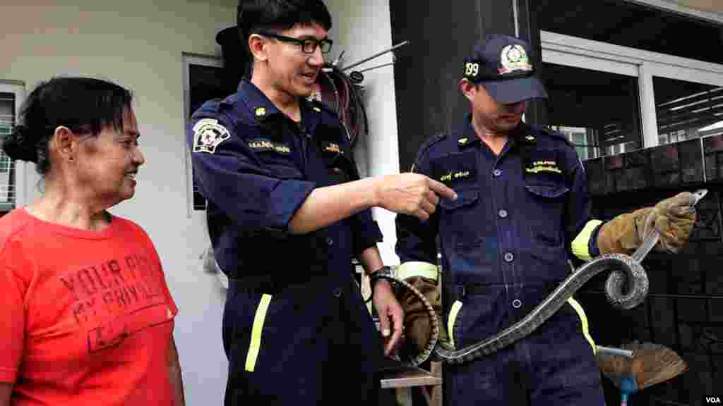 Khun Pinyo explaining to a resident about the Banded Rat Snake (non-venomous) captured inside her compound, Feb. 28, 2016. (Z. Aung/VOA)