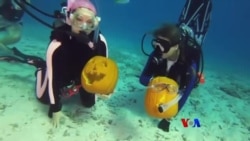 ကိုယ်တိုင်အမဲလိုက်စားသောက်ဆိုင်၊ ရေအောက်ထဲ ရွှေဖရုံသီးထွင်းထုပွဲ