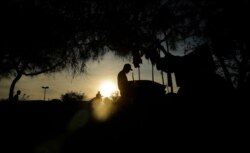 In this Tuesday, Nov. 5, 2019, photo, immigrants waiting for their U.S. court dates live in a refugee camp in Matamoros, Mexico, cooks dinner as the sun sets.