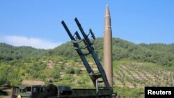 Yaaliin Misaayilaa Kooriyaan Kaabaa Ittiin Of Himtu Na Shakkisiisa: Kooriyaa Kibbaa