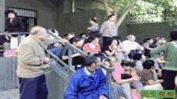 民办代课教师代表在教师节集体到北京上访。(图片来源：民生观察)