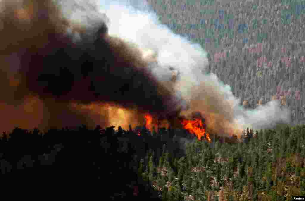 Api berkobar di kawasan hutan di High Park, sebelah barat kota Fort Collins, Colorado, 19 Juni 2012.