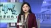 时事经纬(2020年2月15日)