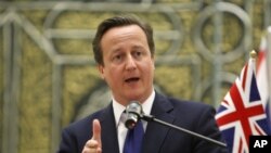 Perdana Menteri Inggris David Cameron (Foto: dok).