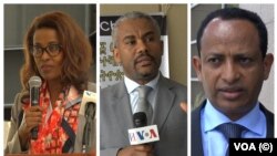 ከግራ ወደ ቀኝ የፌዴራል ጠ/ፍቤቶች ፕሬዚደንት ወ/ሮ መዓዛ አሸናፊ፣ጠበቃ እና የመብት ተሟጋች ተክለ-ሚካኤል አበበ፣ በዮናይትድ ስቴትስ የኢትዮጵያ አምባሳደር ፍጹም አረጋ 