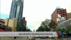 美议员呼吁川普重视开发非洲市场