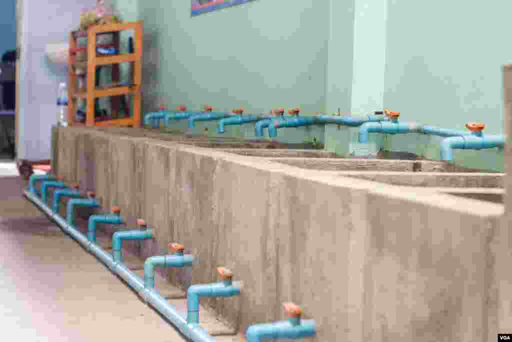 អាង​ទឹកប្រមាណ​ជាង៤០ បំពាក់ដោយបំពង់​បង្ហូរទឹក​ចេញចូល ជា​ជម្រក​បណ្តោះ​អាសន្នមួយ​សម្រាប់​កូន​កន្ធាយ​ដែល​ទើបនឹងញាស់​ នៅខេត្តក្រចេះ កាលពីថ្ងៃសុក្រ ទី២៥ ខែវិច្ឆិកា ឆ្នាំ ២០១៦។ (ខាន់ សុគុំ​មនោ​/VOA)