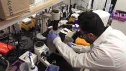 Magnets Might Become Miracle Cure for Pain