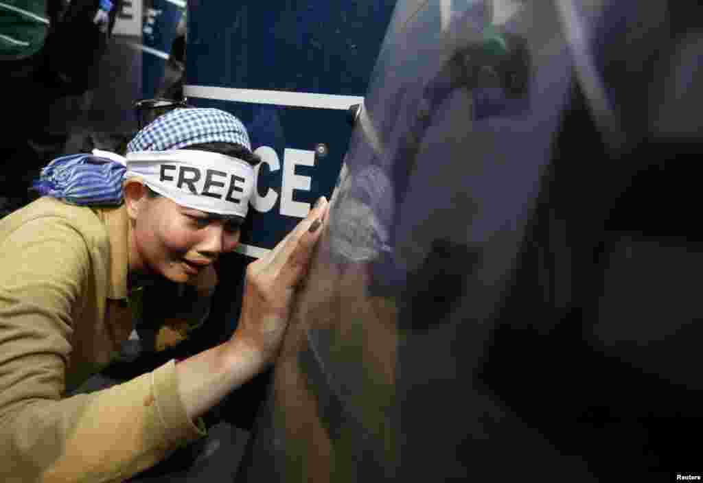 Seorang pengunjuk rasa menangis saat bentrokan dengan polisi dalam demonstrasi di depan pengadilan kota Phnom Penh, Kamboja. Para demonstran menuntut dibebaskannya 21 tahanan yang dipenjara sejak tanggal 3 Januari, ketika polisi militer melancarkan tembakan ke arah pekerja yang mogok memprotes upah rendah, yang menewaskan empat orang. &nbsp;