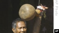 អ.ស.ប.បង្ហាញកង្វល់ចំពោះការ ប៉ះពាល់ជីវភាពជនជាតិដើមភាគតិច