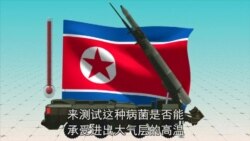 朝鲜离炭疽武器有多远？