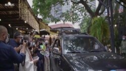 Priest Blesses Pets in Cars for World Animal Day