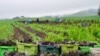 A CropMobster gleaning, collecting leftover crops from farmers' fields to avoid food waste. (Photo by Gary Cedar)