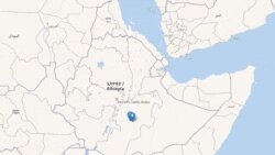 ኣብ ኢትዮጵያ ግብረ ሸብራዊ መጥቓዕቲ ንምፍጻም ዝተዳለወ ኣጽዋርን ተጠርጠርቲን ምትሓዞም ተገሊጹ