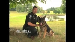 警官警犬好搭档(一) 马歇尔-Boomer在训练场上