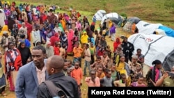 ስደተኛታት ነበርቲ ሞያሌ ኣብ ኬንያ